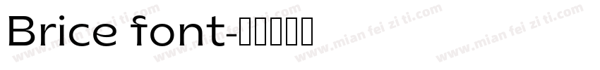 Brice font字体转换